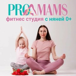 ФРАНШИЗА PROMAMS ОТЗЫВЫ И ОБЗОРЫ